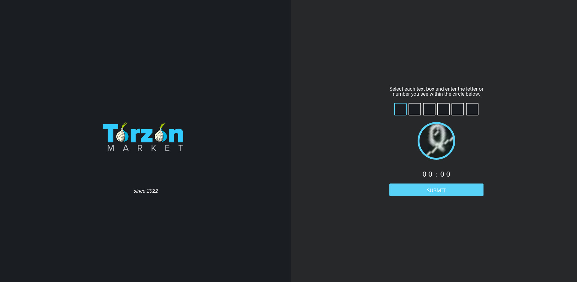 DDoS Protection Screen - torzon-market